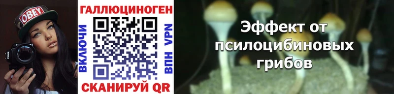 блэк спрут рабочий сайт  Радужный  Галлюциногенные грибы мухоморы 