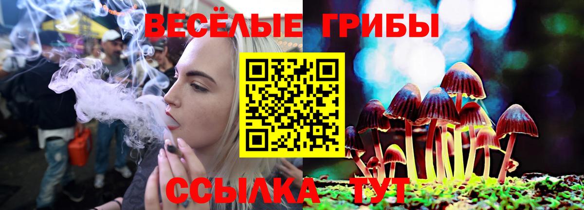 Псилоцибиновые грибы мицелий Радужный